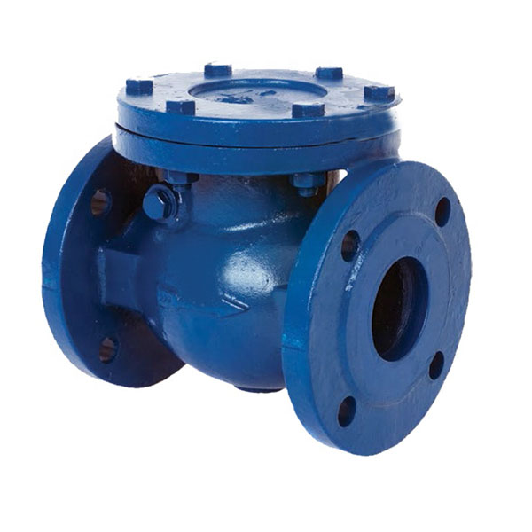 JIS F7372 - JIS 5K Cast Iron Swing Check Valve